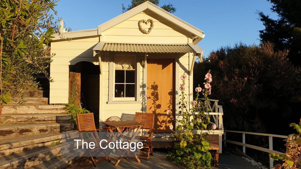 Bluff Hill Bed & Breakfast Napier Εξωτερικό φωτογραφία