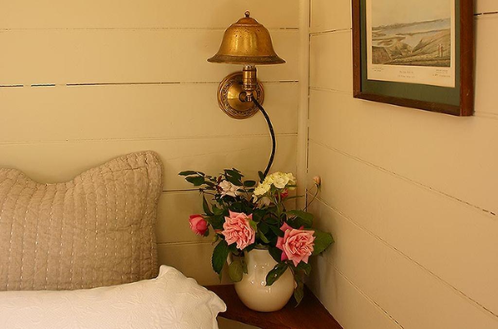 Bluff Hill Bed & Breakfast Napier Εξωτερικό φωτογραφία